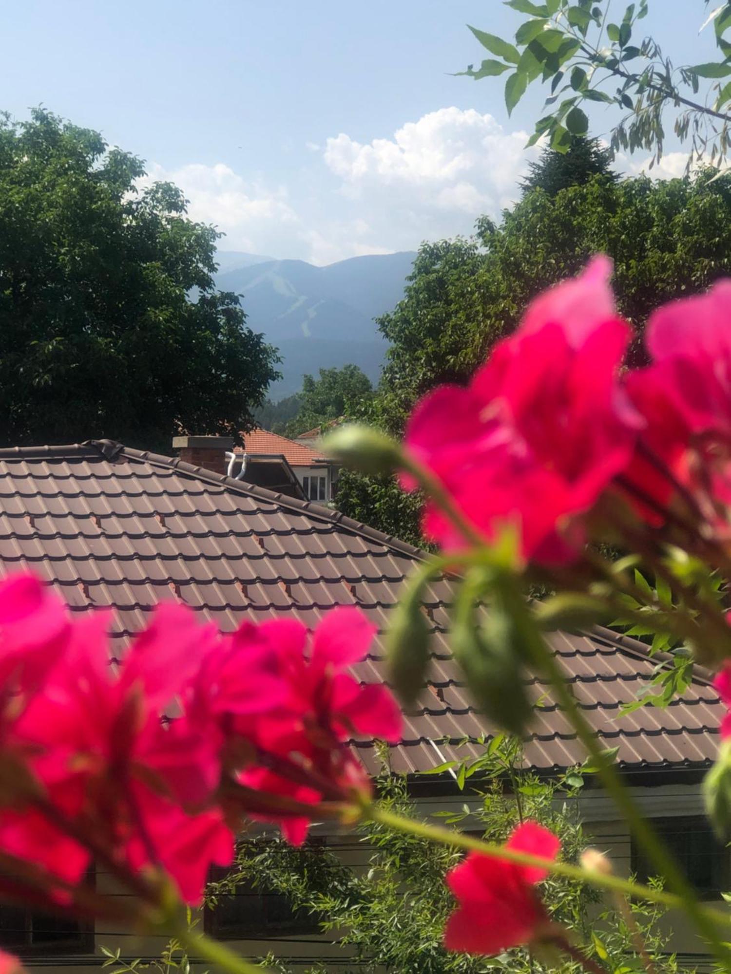 Guest House Legeto Samokov Exterior foto